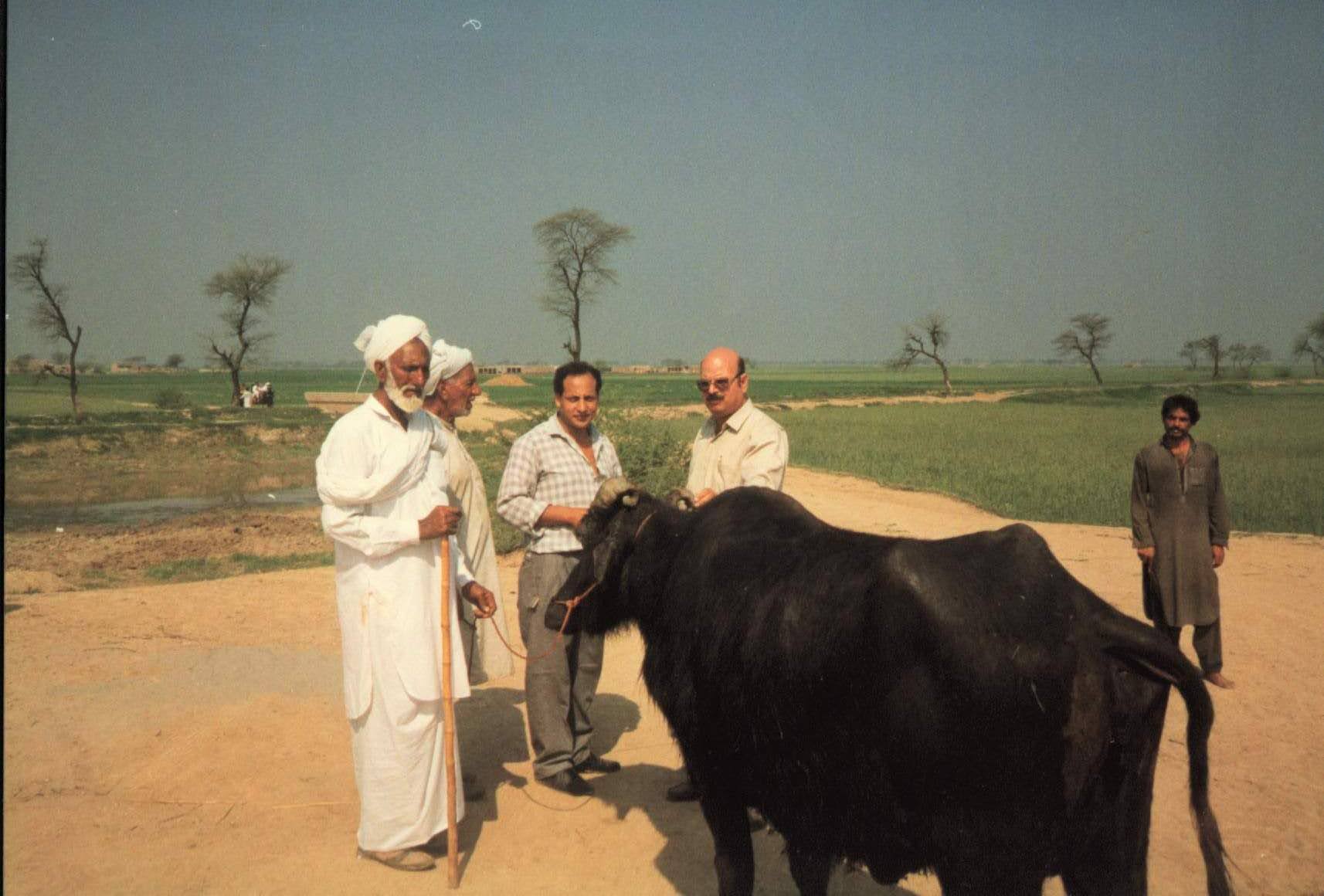 فوزي قديح